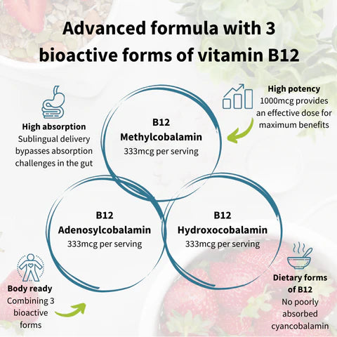 Diagram of vitamin B12 with three bioactive forms and their properties.