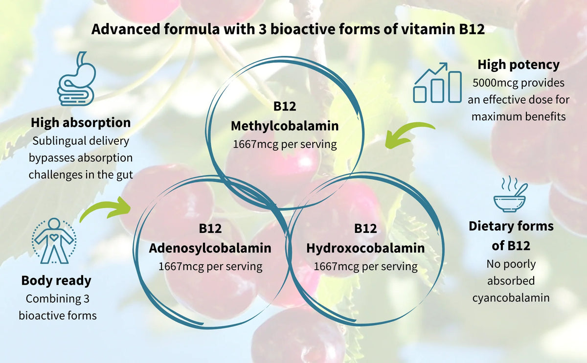 Infographic detailing an advanced vitamin B12 formula with three bioactive forms on a light background.