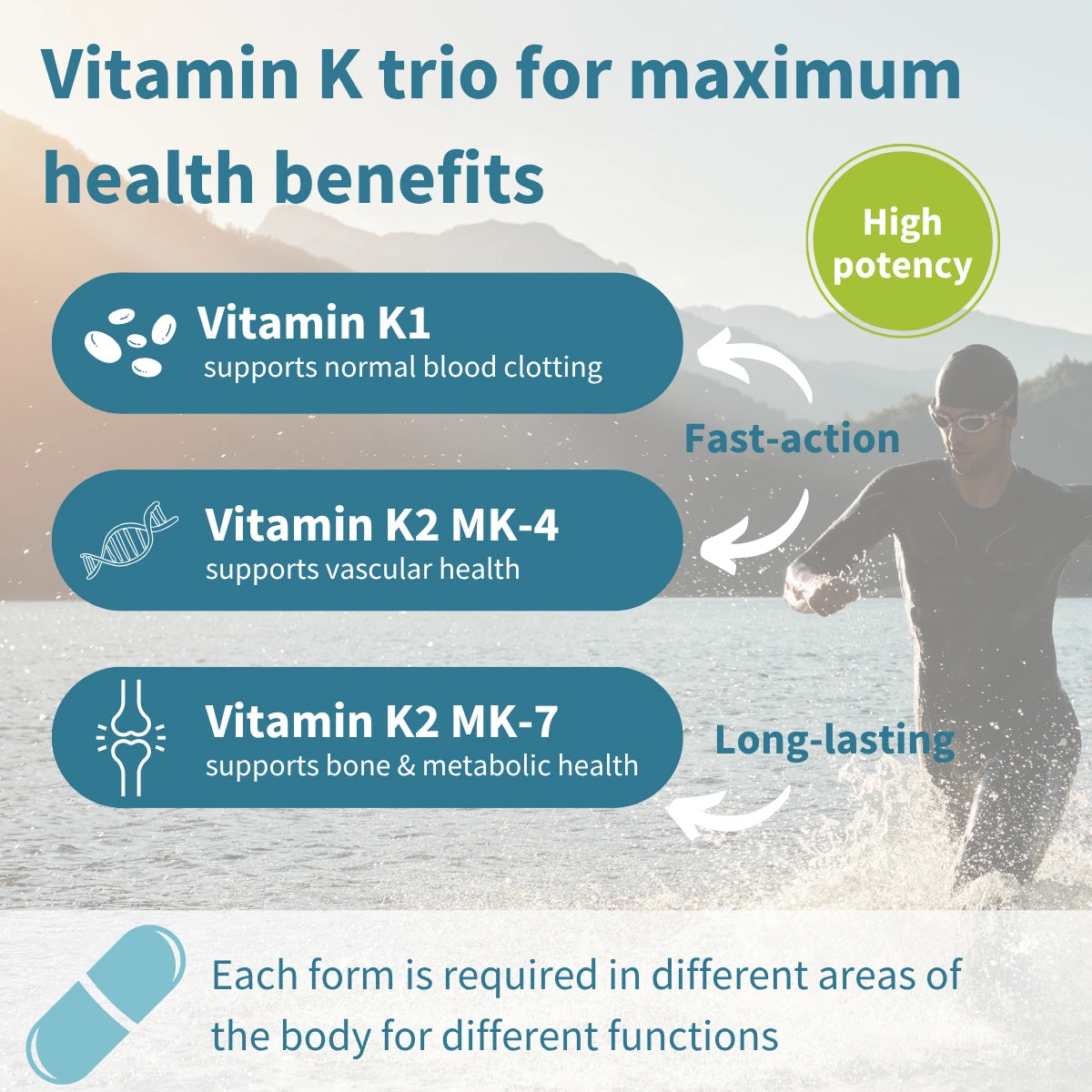 Triple Vitamin K Complex 2700 mcg, High Strength Vitamin K1 & K2 (MK-4 & MK-7), Bioactive Natural Forms, Clean Label, Vegan, 90 Capsules
