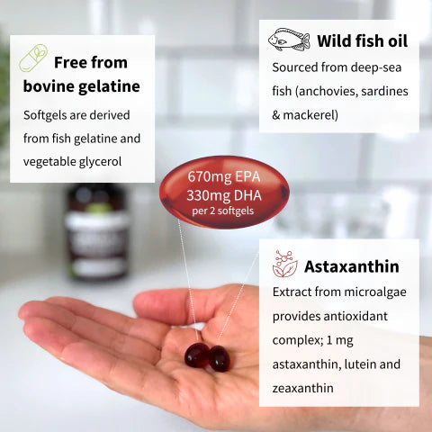 Two softgels held in a hand with information about wild fish oil and astaxanthin on a blurred background.