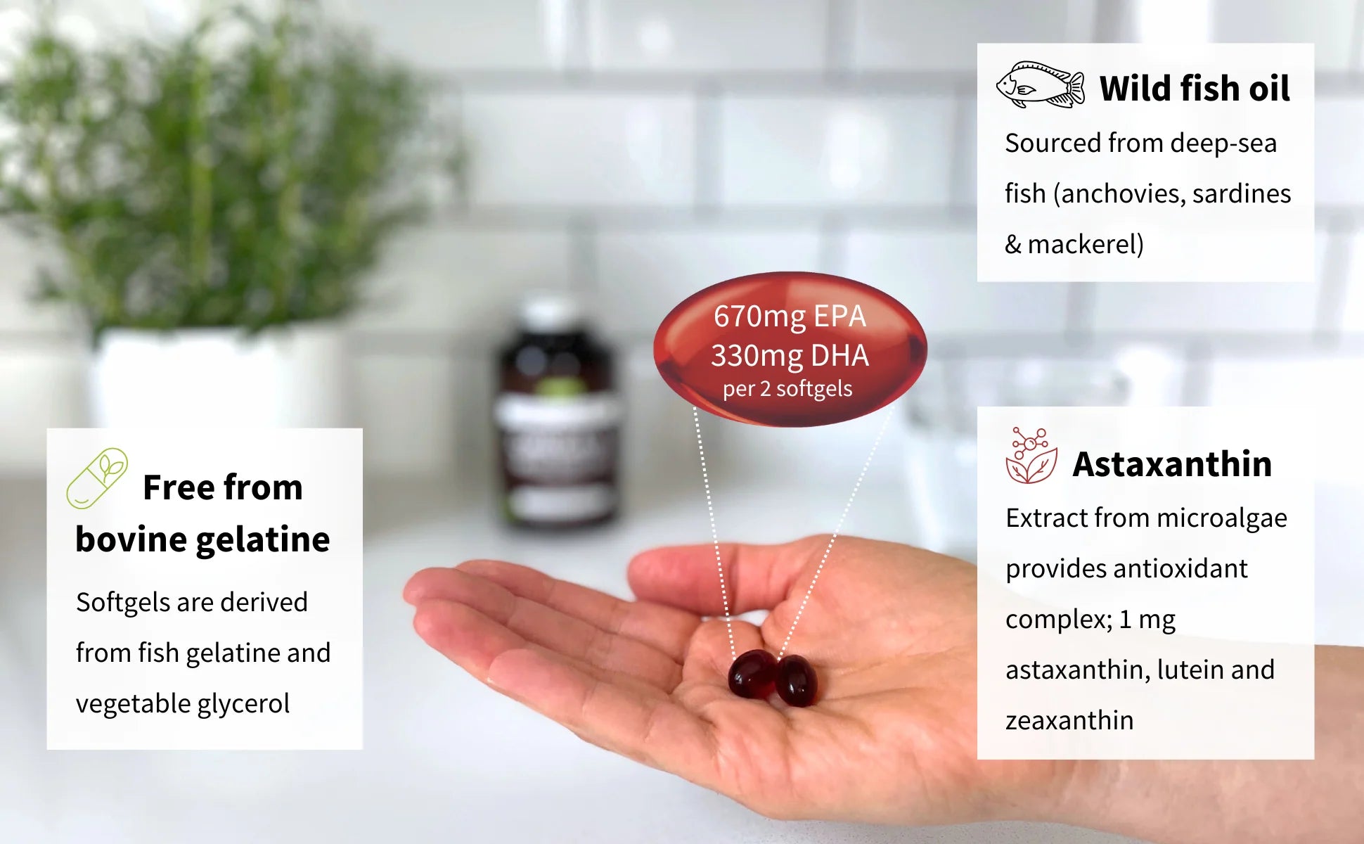 Hand holding two softgels with nutritional information displayed on a white background