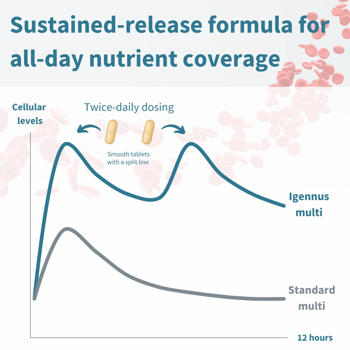 Methylated Multivitamin & Minerals for Women 50+, with Folate, Calcium, Magnesium & Antioxidants, 60 Tablets