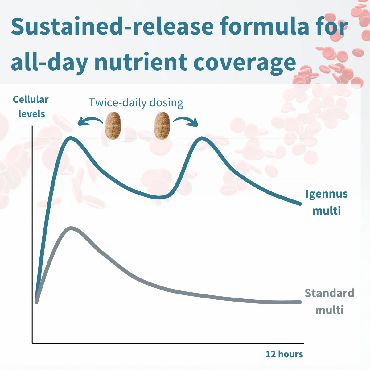 Graph comparing sustained-release formula for all-day nutrient coverage with standard multi dosing.