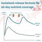Graph comparing sustained-release formula for all-day nutrient coverage with Ignessus multi and standard multi.