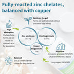 Diagram of zinc and copper supplement formulation with text on benefits