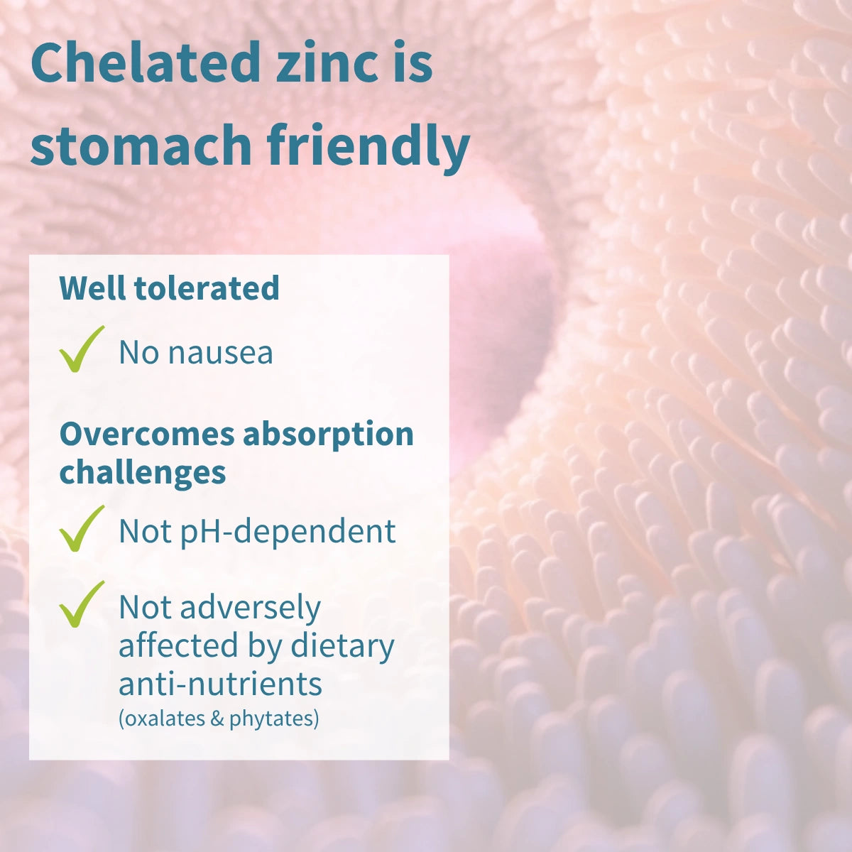 Text about chelated zinc being stomach friendly with a blurred background