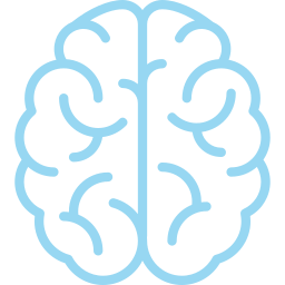 Outline of a brain in light blue on a white background