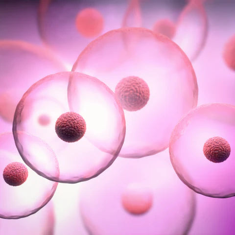Illustration of molecular structures with a pink and purple color scheme.