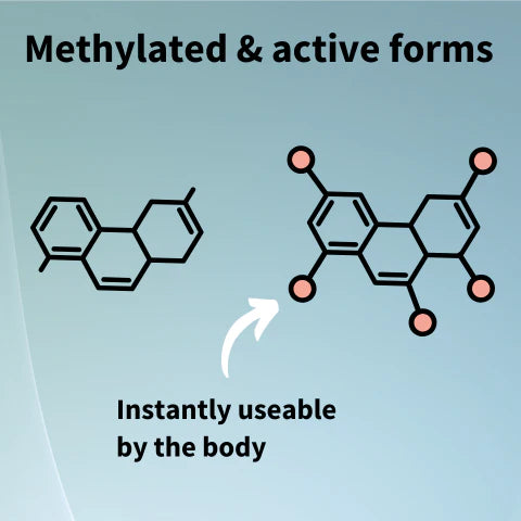 Chemical structures of methylated and active forms with an arrow indicating instant usability by the body on a light blue background.