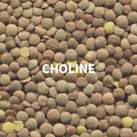 Close-up of green lentils with 'Choline' text overlay