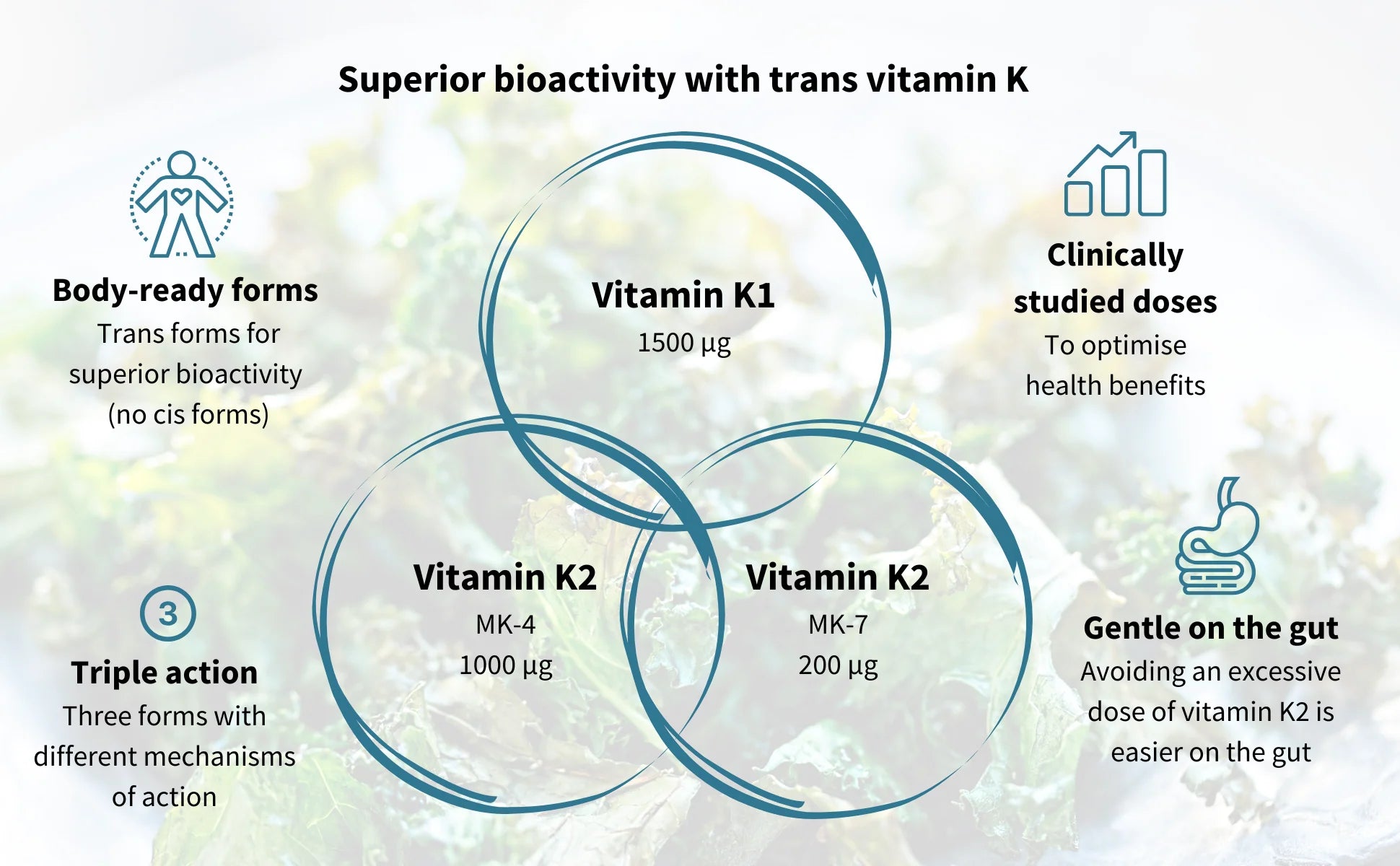 Diagram of vitamin K1, K2, and K4 with text on bioactivity and dosages.