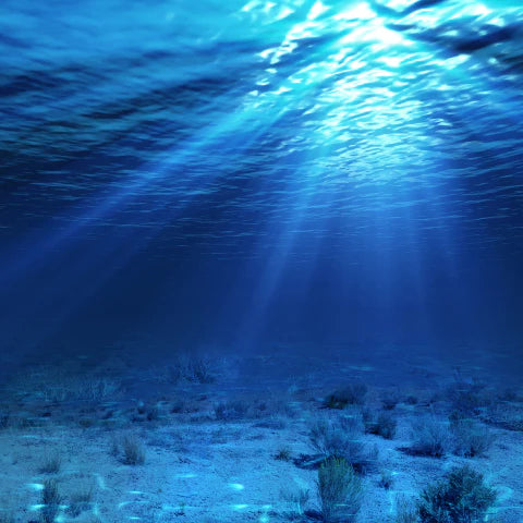 Underwater view with sunlight rays穿透清澈的水