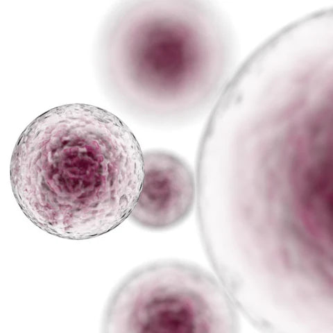 Close-up of a virus-like structure with a white background