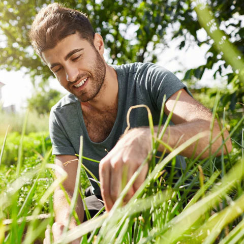 Man tending to plants in a garden