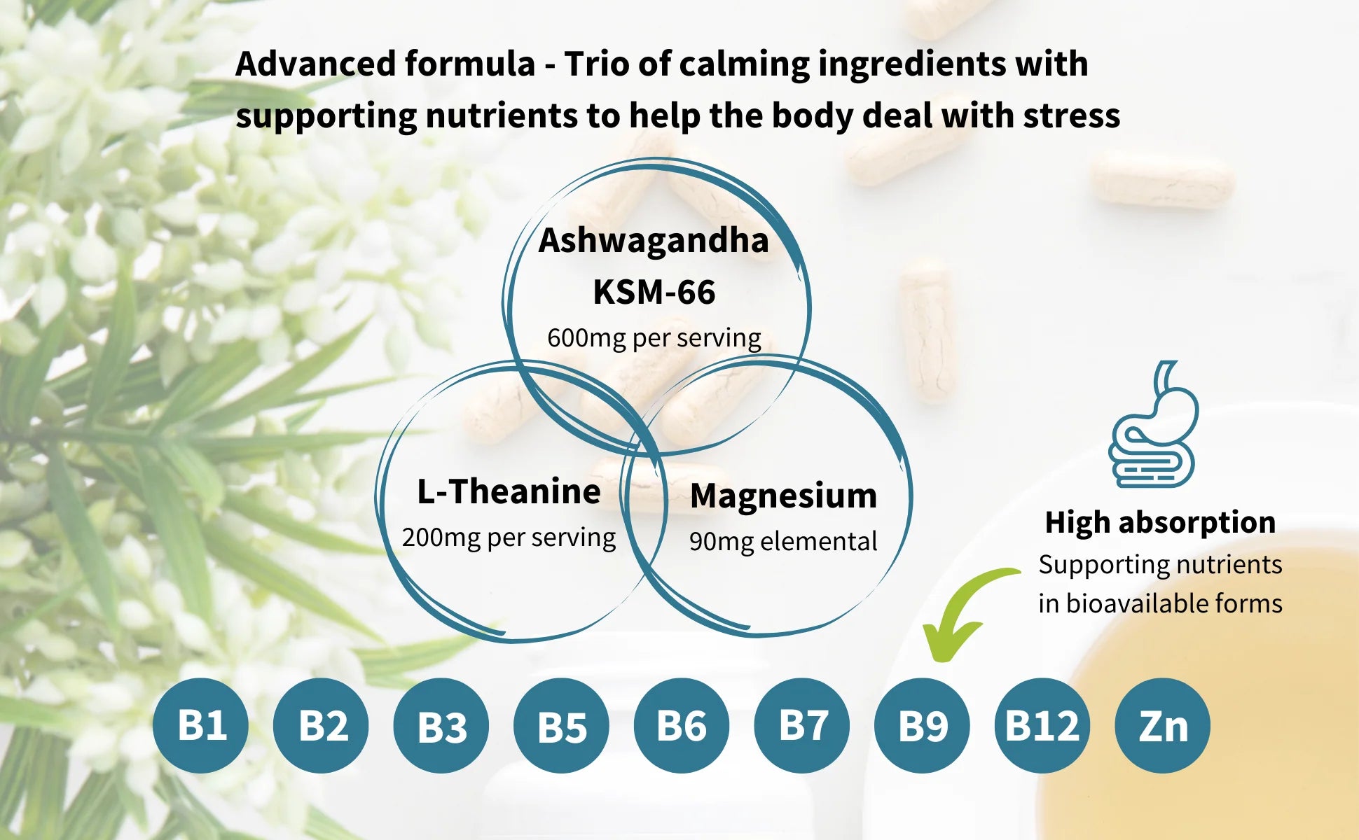 Diagram of calming ingredients with supporting nutrients for stress relief, featuring Ashwagandha, L-Theanine, and Magnesium.