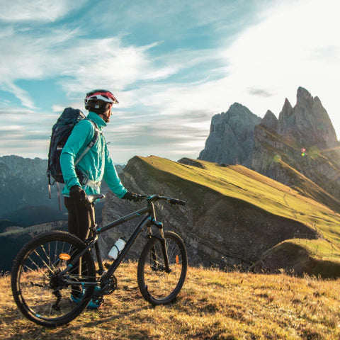 Person with a bicycle in a mountainous landscape
