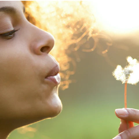 Person blowing on a dandelion with a blurred natural background