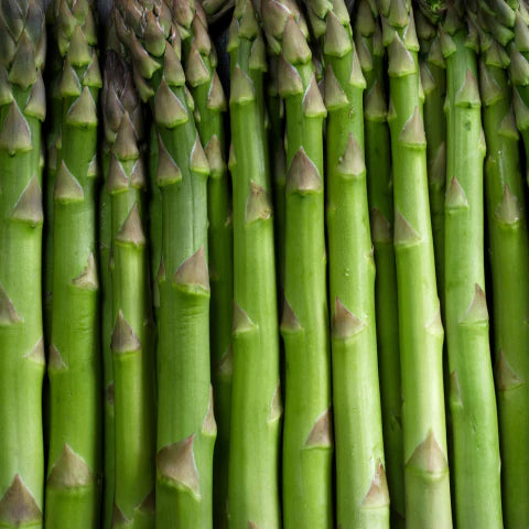 Close-up of green asparagus stalks
