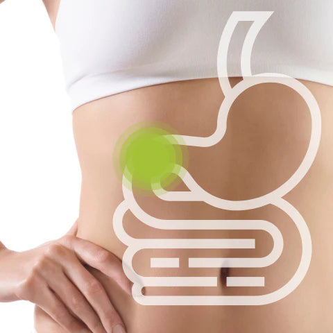Illustration of a digestive system on a person's abdomen with a green apple, symbolizing healthy digestion.