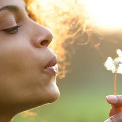 Person blowing on a dandelion with a blurred natural background