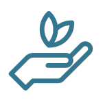 Icon of a hand holding two leaves, symbolizing nature or environmental conservation.