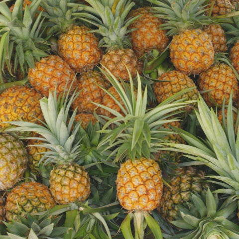Close-up of a pile of pineapples with green leaves.