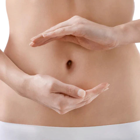 Close-up of a person's hands holding their stomach with a white background