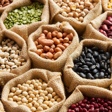 Assorted beans and legumes in burlap bags