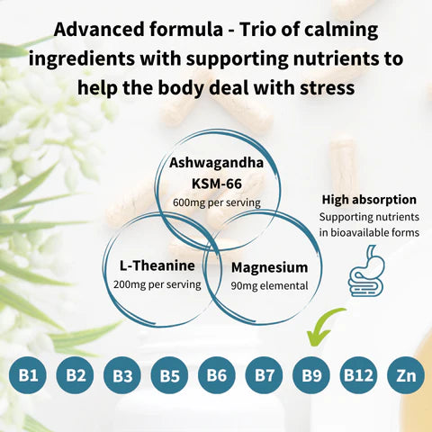 Diagram of calming ingredients with supporting nutrients for stress relief, featuring Ashwagandha, L-Theanine, Magnesium, and vitamins B1 to B12.
