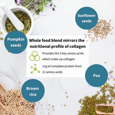 Whole food blend with pumpkin seeds, sunflower seeds, pea, and brown rice on a white background.