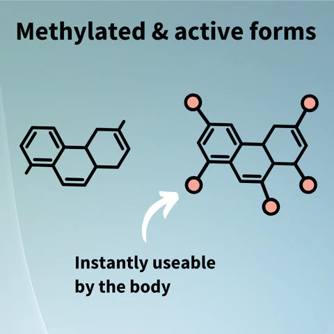 Mthylated & active forms