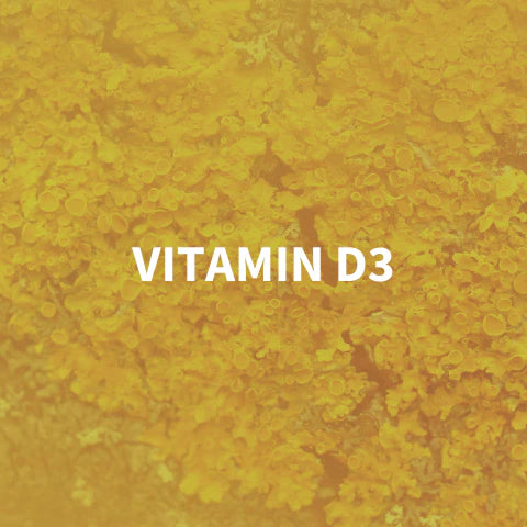 Yellow background with 'VITAMIN D3' text