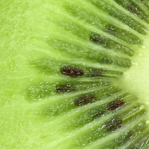 Close-up of a kiwi fruit slice with green flesh and brown seeds.