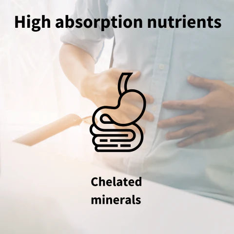 Person holding their stomach with text about high absorption nutrients and chelated minerals.