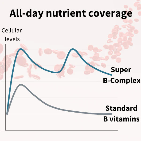 Graph comparing 'Super B-Complex' and 'Standard B vitamins' with cellular levels on a white background.