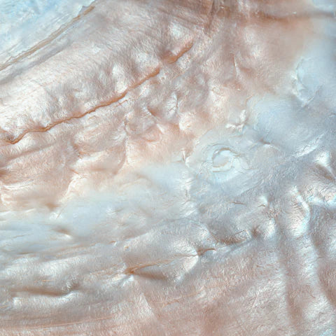 Close-up of a textured surface with pink and white colors