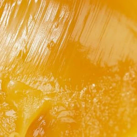 Close-up of a textured yellow surface
