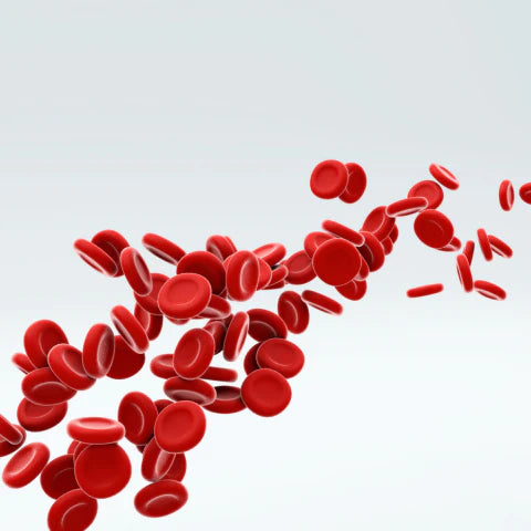 Red blood cells on a light gray background