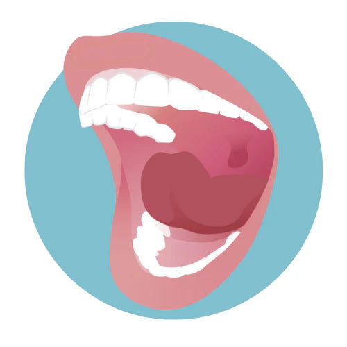 Illustration of a mouth with teeth on a blue background