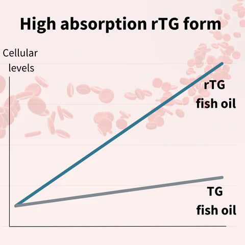 Graph comparing high absorption rTG form to TG fish oil with cellular levels on a pink background.