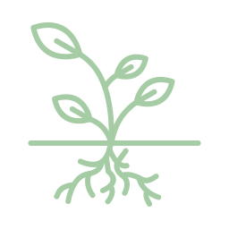 Green leafy plant icon on a white background
