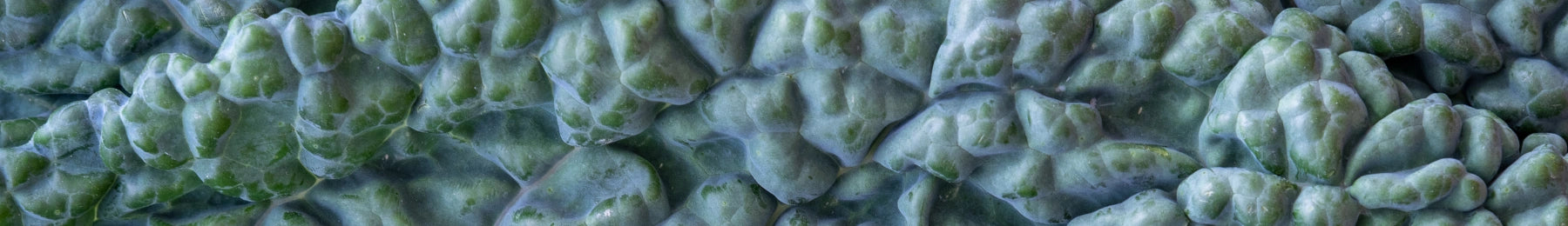 Close-up of textured green material with intricate patterns