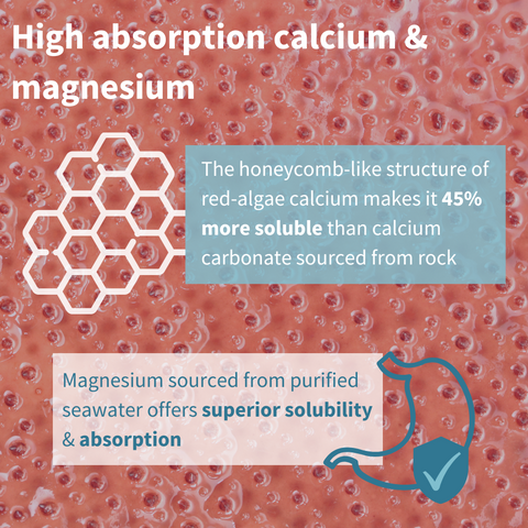 Calcium & Magnesium Algae Mineral Complex, 60 tablets