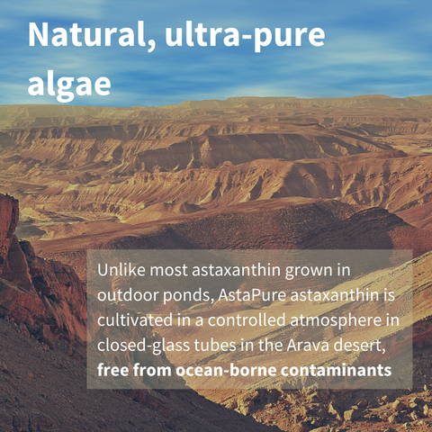 Pure & Essential AstaPure® Astaxanthin Complex, 4 mg astaxanthin from 42 mg Astapure, Vegan, 90 softgels