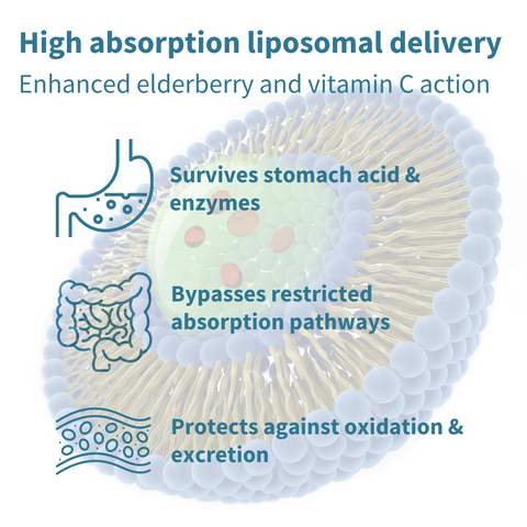 Liposomal Elderberry & Vitamin C - DISCONTINUED