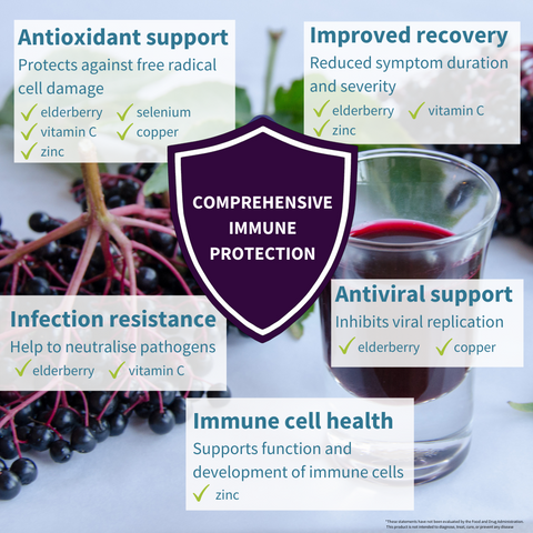 Liposomal Elderberry & Vitamin C - DISCONTINUED