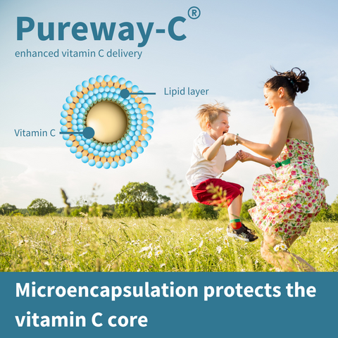 Super Vitamin C Complex, 1000mg Microencapsulated Pureway-C® with Bioflavonoids, 60 tablets